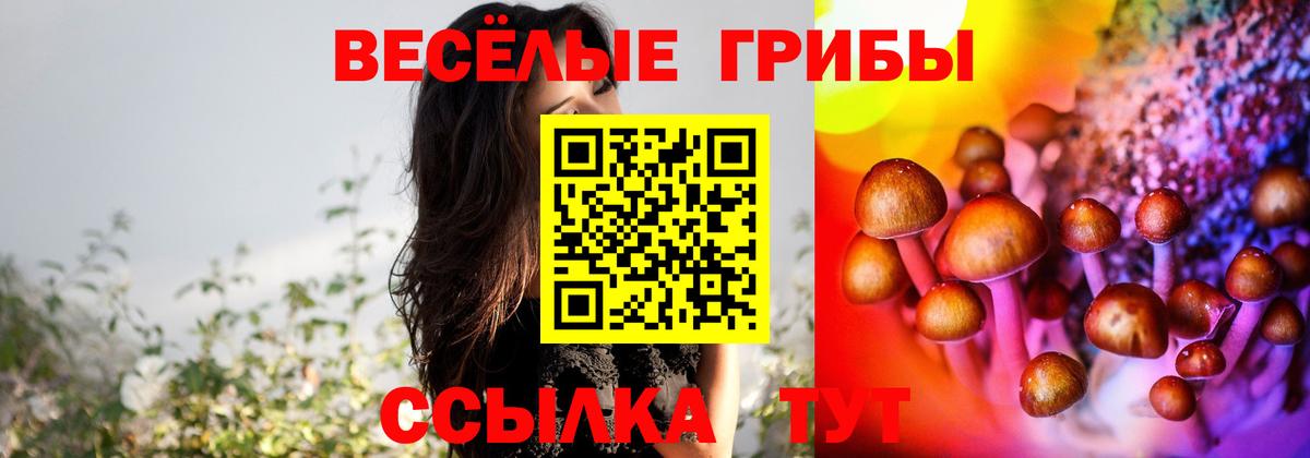 Псилоцибиновые грибы MAGIC MUSHROOMS  Вход с VPN  Ачинск  Галлюциногенные грибы мухоморы 