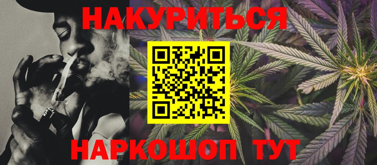 Конопля сатива Ачинск